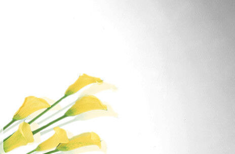 buy No.8 Finish Mirror Polished Stainless Steel Sheet Super Bright Surface online manufacture