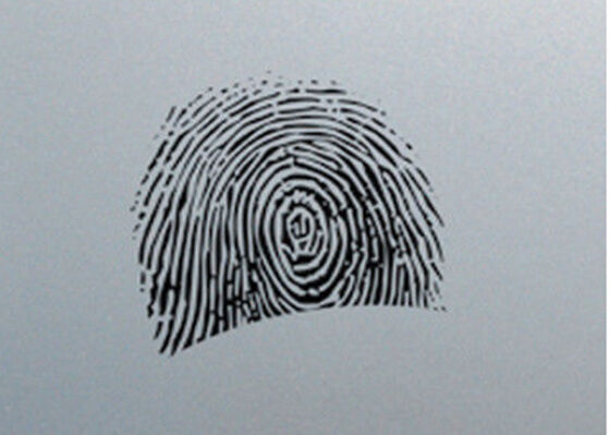 buy Anti Fingerprint Cold Rolled Stainless Steel Sheet 0.2mm - 3.0mm Thickness online manufacture